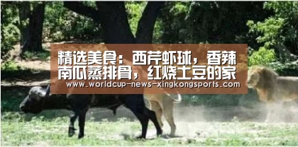 星空体育app下载
