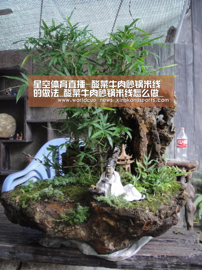 星空体育直播