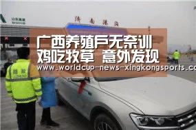 广西养殖户无奈训鸡吃牧草 意外发现省钱又走俏_星空体育(图1) 星空体育